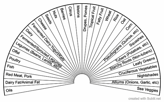 Food groups detailed