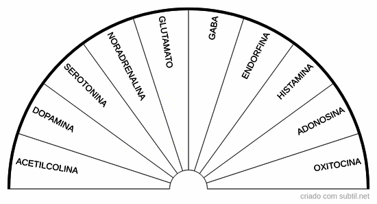 Neurotransmissores