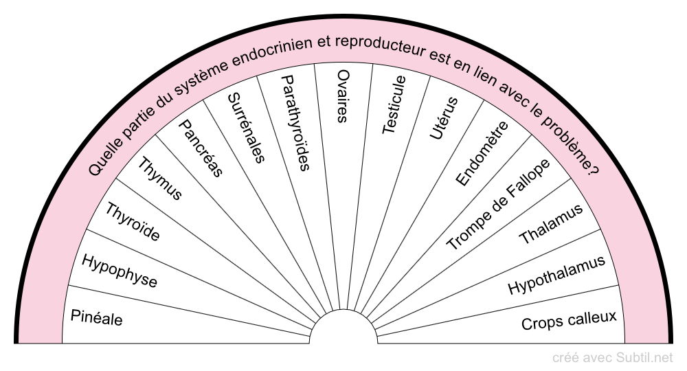 Système endocrinien et reproducteur