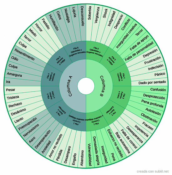 Rastreo de emociones atrapadas