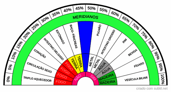 Elementos da medicina tradicional chinesa e meridianos