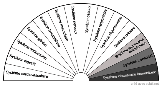 Systèmes Corps humain