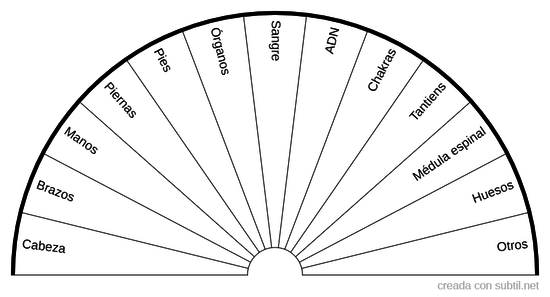 Partes del cuerpo