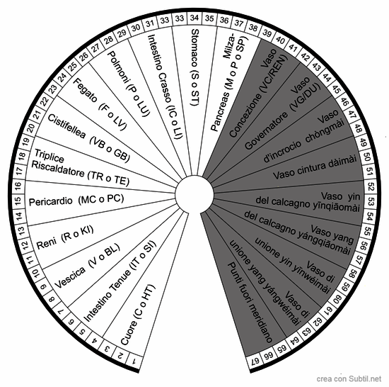 Meridiani completi  agopuntura