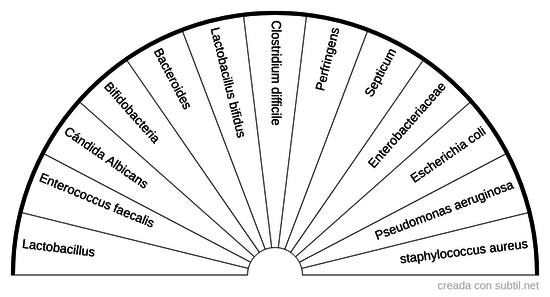 Bacterias intestinales