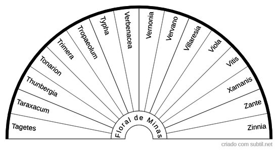Floral de Minas