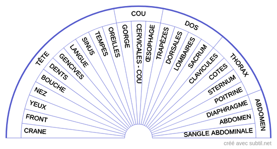 Soin 2 - Visage, Dos, Thorax, Abdomen