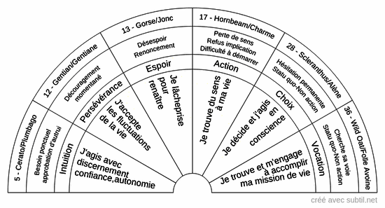 Fleurs de Bach - Doutes / Incertitudes