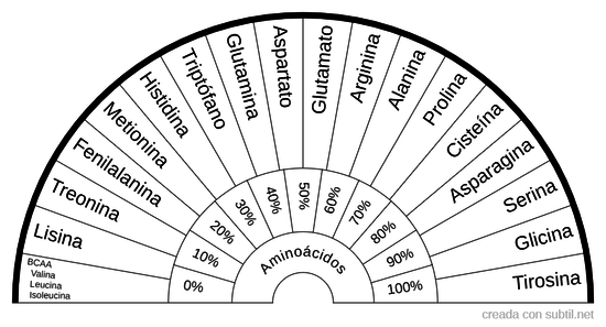 Tabla de Aminoácidos