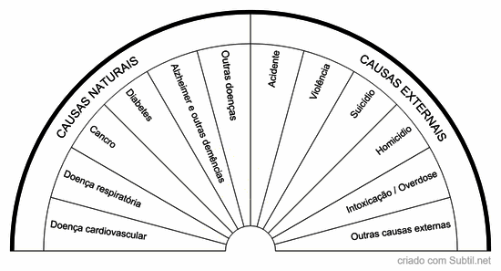 Causas de morte