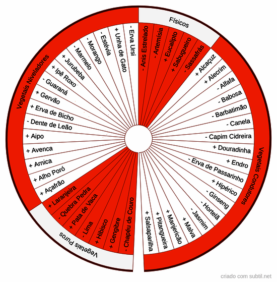 Vegetais chakra 2 = sacro