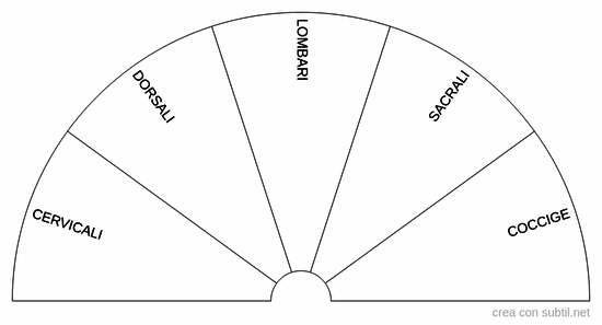 Vertebre