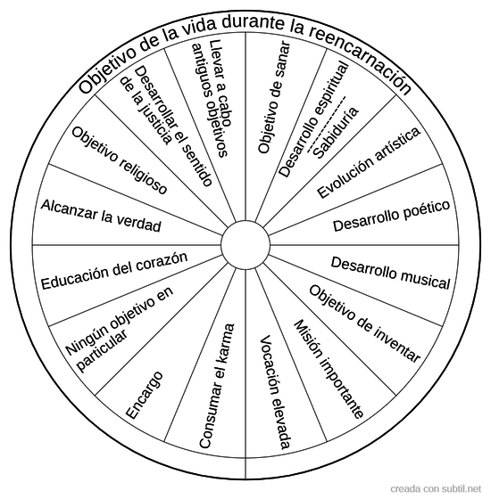 Objetivo de vida durante la reencarnación