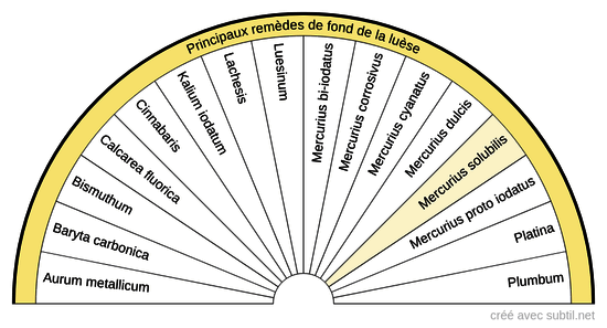 Diathèses homéopathiques - 1 (Luèse)