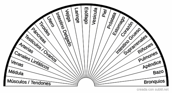 Organos afectados