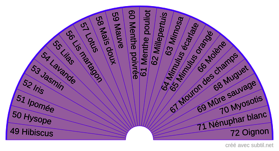 Élixirs floraux contemporains Deva 3