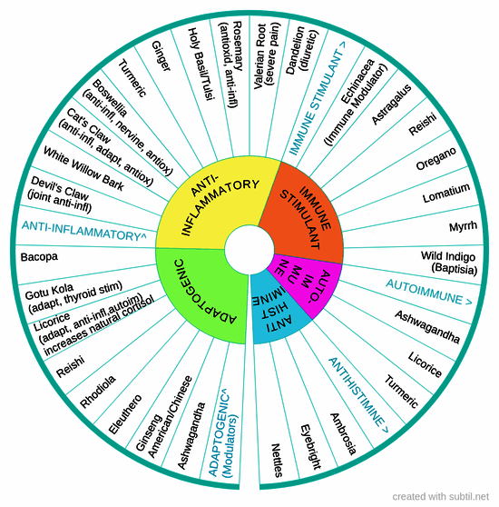 Herbs: adaptogenic, anti-inflammatory, immune, autoimmune, antihistamine