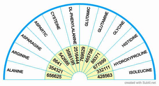 Amino acids 1