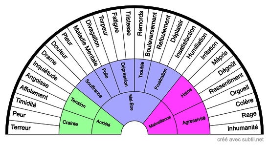 Roue des Émotions Négatives