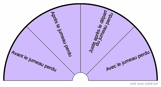 Jumeau perdu