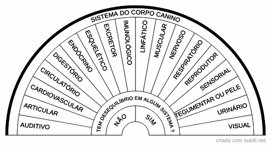 Sistema do canino