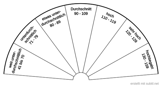 Intelligenzquotient  feststellen