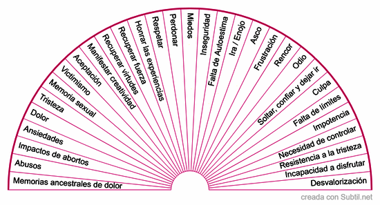 Limpieza y sanación de utero