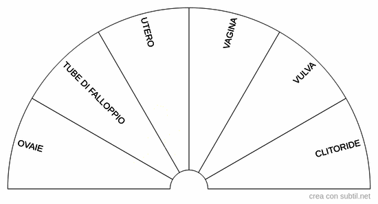 Apparato riproduttivo femminile