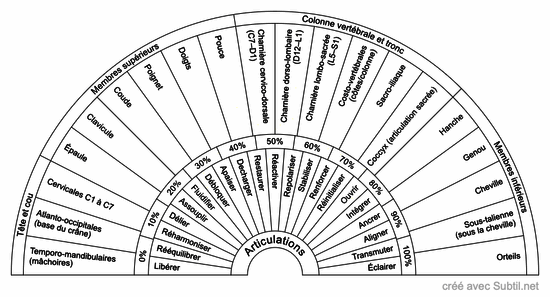 Articulations