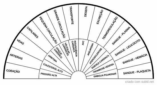 Sistema circulatório