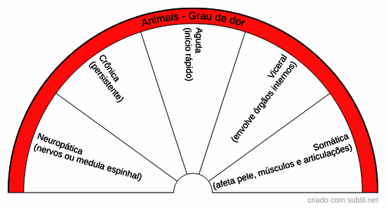Animais - Grau de dor