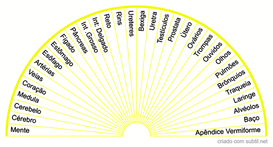 Sistema Corpo Humano