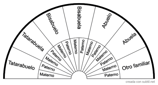 Constelaciones Familiares