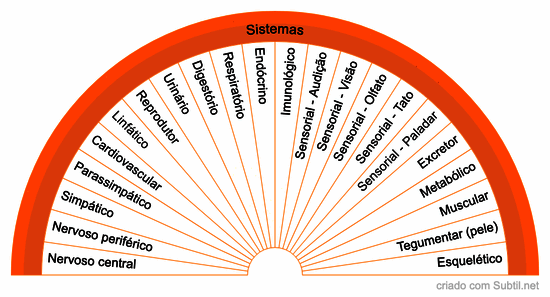 Sistemas corporais
