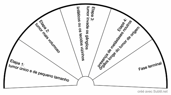 Etapas de evolução de um cancro
