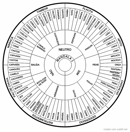 Mandala xamanica