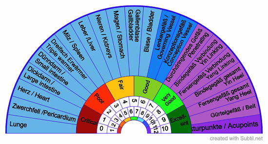Meridians & acupoints