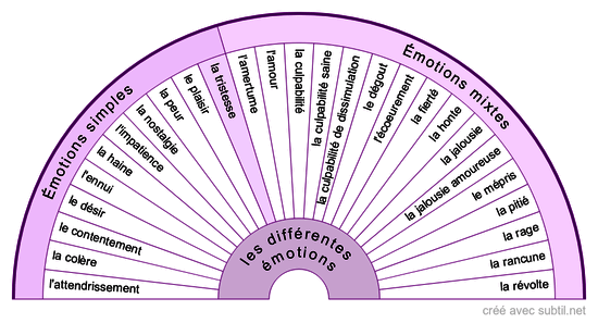 Les émotions 