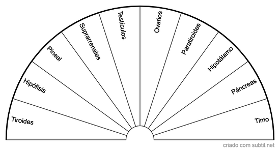 Glándulas Endocrinas