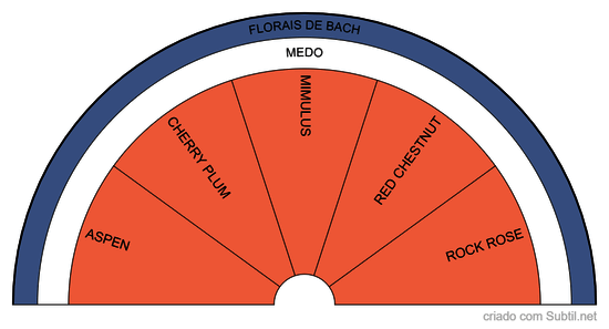 Florais de bach - medo