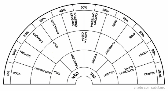 Orgãos sist. digestório, imunológico e urinário