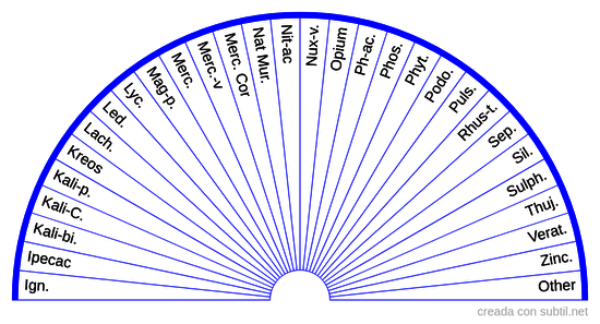 Homeopathic Polychrest Chart 2