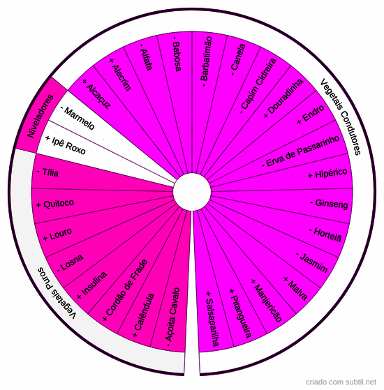 Vegetais chakra 7 = coronário