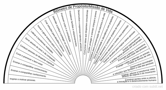 Propósito / Missão de vida