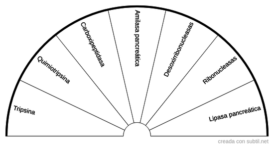 Jugos pancreáticos