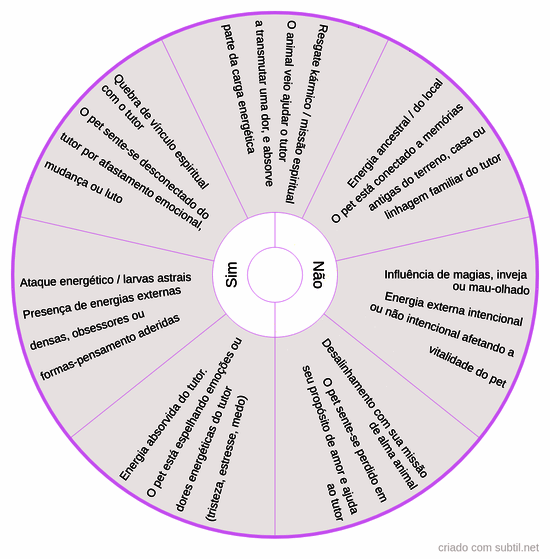 Causa espiritual desequilíbrio pet