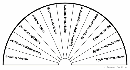 Les systèmes du corps humain.