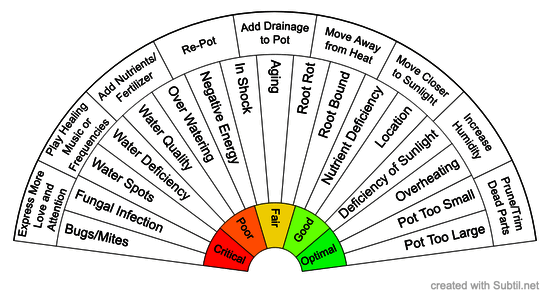 House plant health