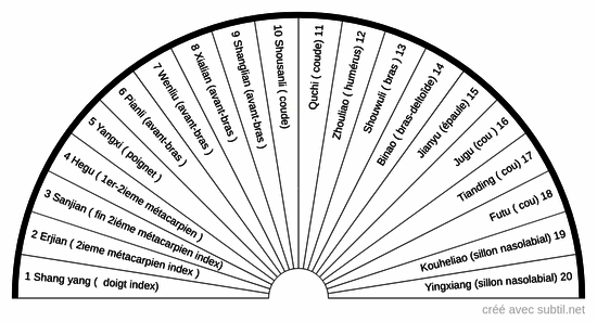 Méridien gros intestin: points localisés