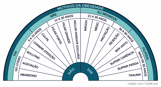 Motivos da obesidade